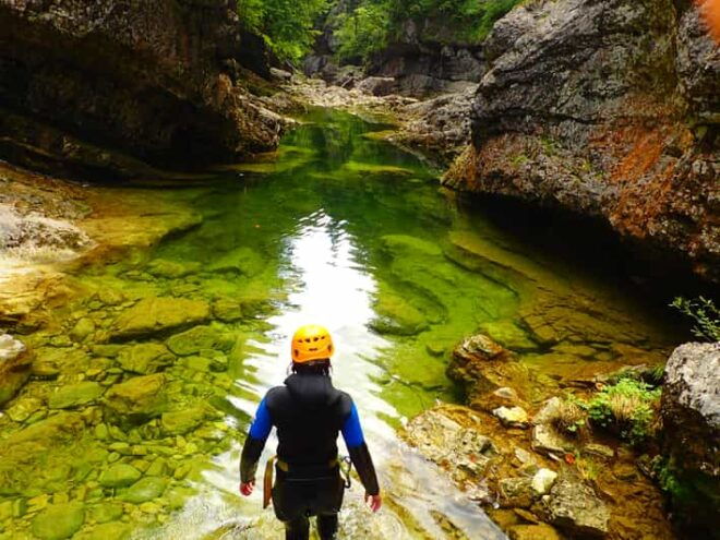 Salzburg: 4-Hour Guided Canyoning Trip for Beginners - Customer Feedback
