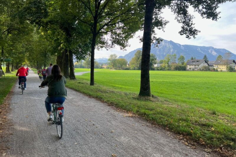 Salzburg and Surrounds: Private Scenic Bike Tour - Who Will Love This Tour?