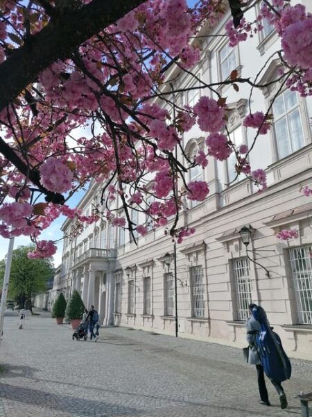 Salzburg Classics Music in Mirabell - Frequently Asked Questions