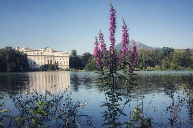 Salzburg Old Town Running Tour - Experience