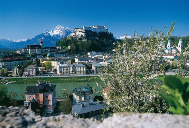 Salzburg: Sound of Music Private Half-Day Tour - Captivating Highlights of the Sound of Music Tour