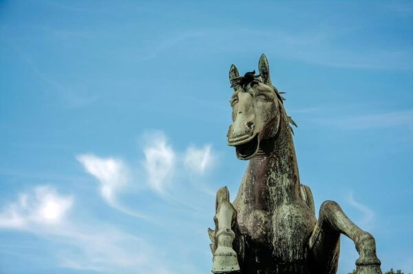 Salzburg: the Sound of Music Movie & City Tour With a Local - Highlights of the Tour