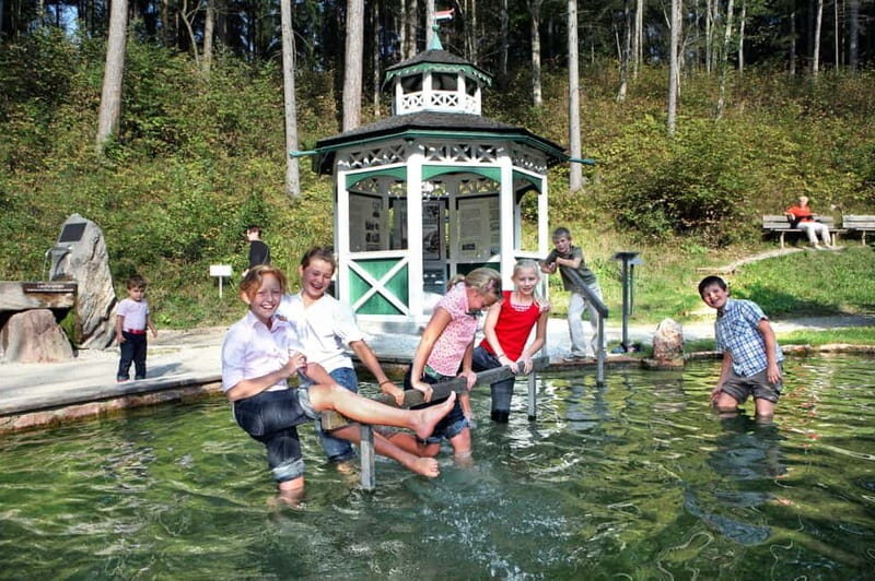 Salzburger Freilichtmuseum: A Journey Through Time - Accessibility and Family-Friendly Features