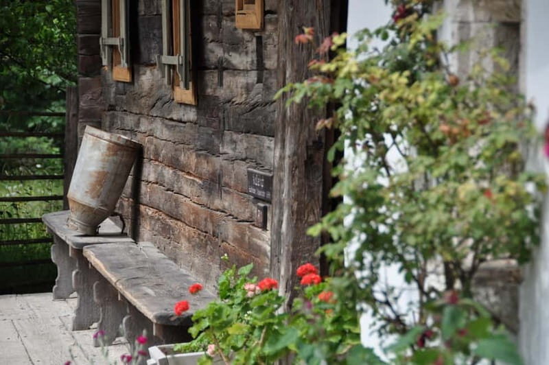 Salzburger Freilichtmuseum: A Journey Through Time - Overall Experience