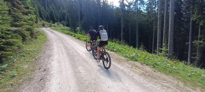 Salzkammergut: Guided e-bike tour to the alpine pastures in Gosau and Hallstatt - A closer look at what makes this e-bike tour special