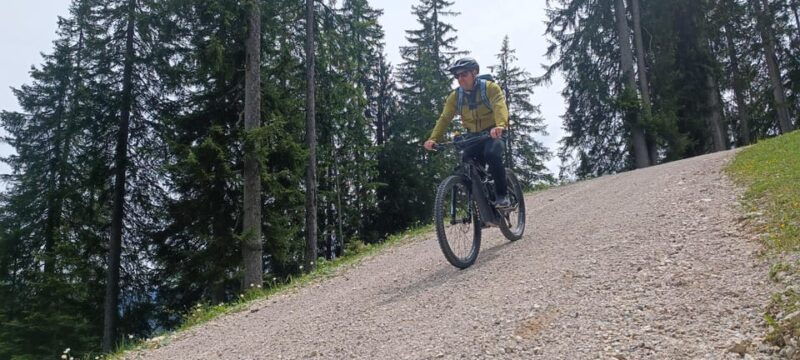 Salzkammergut: Guided e-bike tour to the alpine pastures in Gosau and Hallstatt - The starting point and logistics