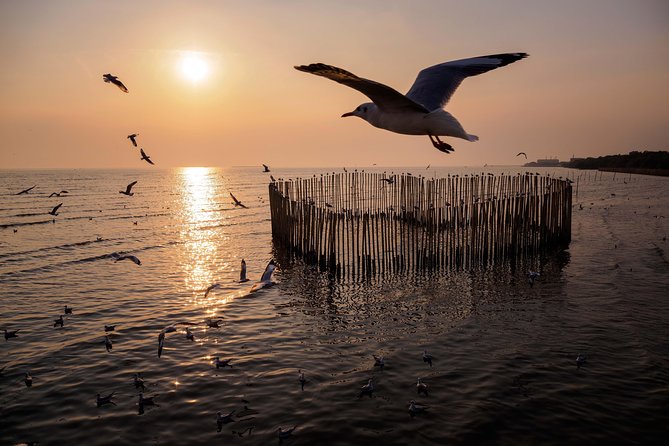 Sam Lam Centennial Market in Samut Prakan Three Elephants Museum Siam Ancient City Seagulls Xena - Siam Ancient City
