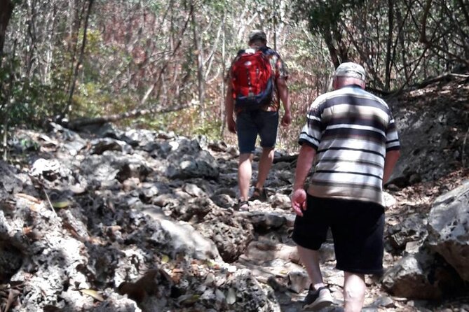 Sam Roi Yod National Park & Praya Nakhon Cave Join Group Tour - Viator Help Center