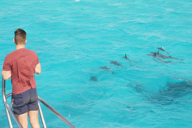 Samadai Dolphin House Snorkel Trip - Marsa Alam - Pickup Information