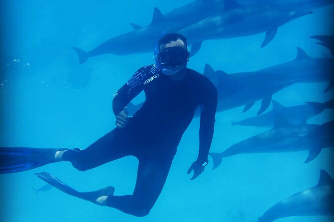Samadai Dolphin House Snorkel Trip - Marsa Alam - Reviews and Ratings