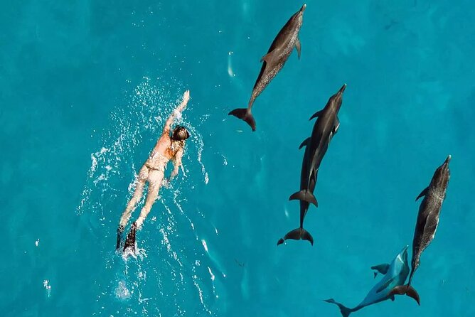 Samadai Reef - Dolphin House Snorkeling Tour at Marsa Alam - Frequently Asked Questions