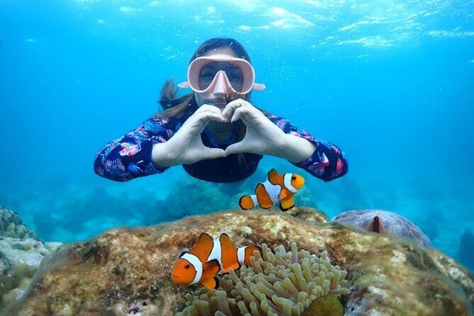 Samaesan Island Private Speedboat and Snorkeling Tour - Good To Know