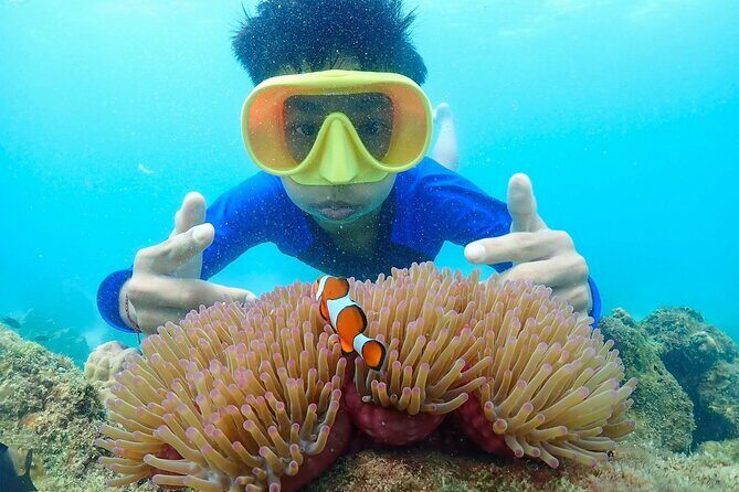 Samaesan Island Private Speedboat and Snorkeling Tour - FAQ