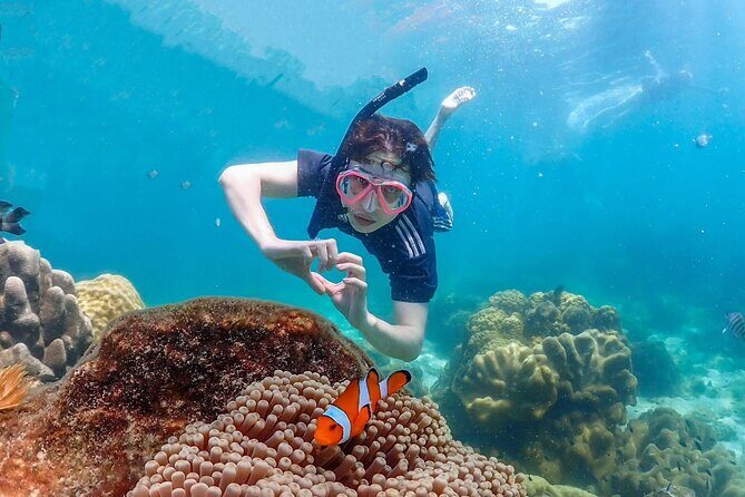 Samaesan Island Private Speedboat and Snorkeling Tour - The Value of a Private Speedboat Tour