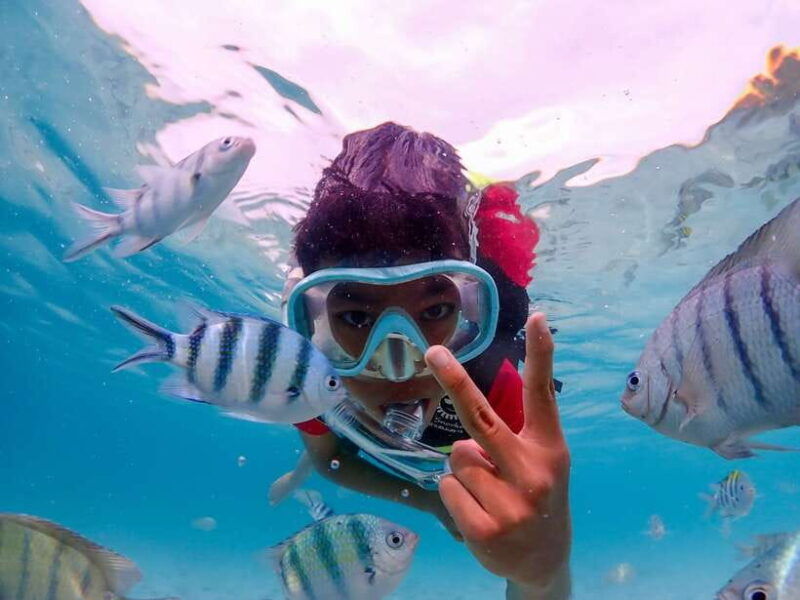Samaesarn : Finding Nemo Snorkeling Tour Private Speedboat - Good To Know