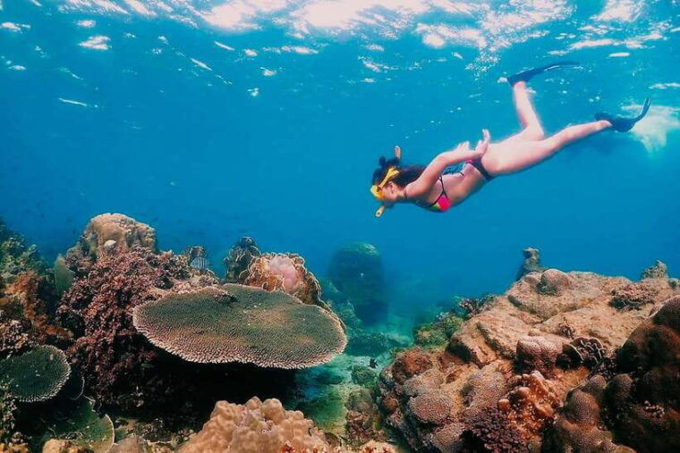 Samaesarn : Finding Nemo Snorkeling Tour Private Speedboat - Activities and Marine Life