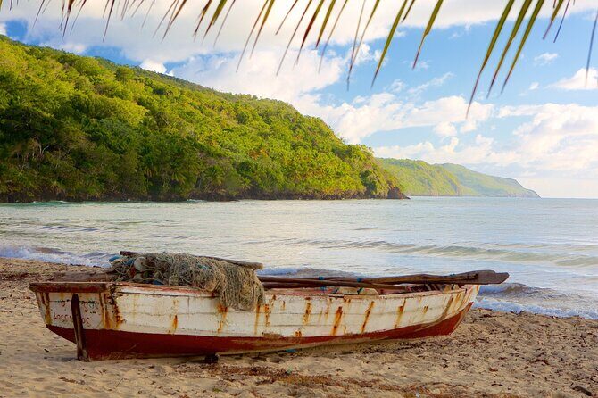 Samana Adventure: Bacardi Island & El Limón Waterfall Combo - The Sum Up