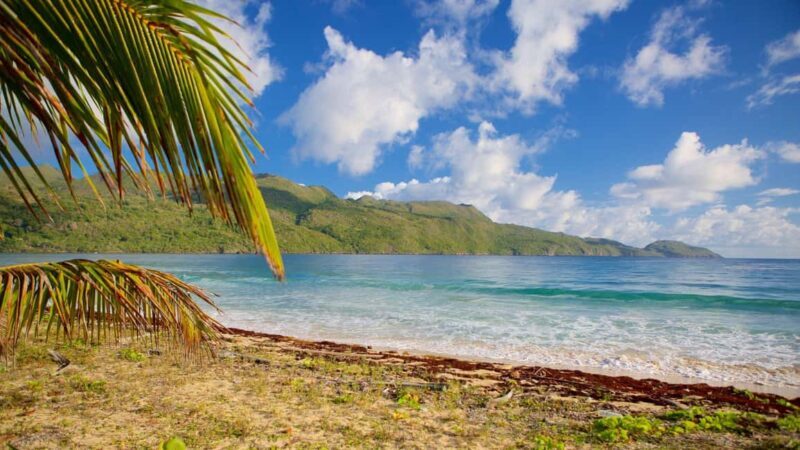 Samana Adventure: Cayo Levantado & El Limón Waterfall combo - Final Thoughts: Is This Tour Worth It?