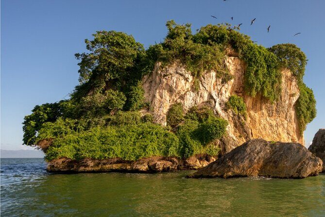 Samaná Bacardi Island and Los Haitises from Punta Cana with Lunch - Starting Point and Transportation  