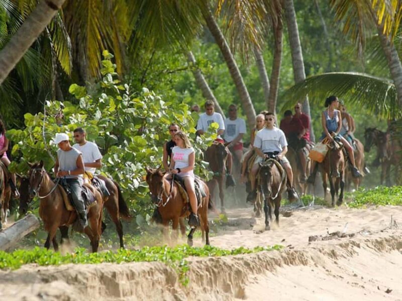 Samana, Ballenas, Cayo Levantado, Horseback Riding - Transportation and Group Dynamics