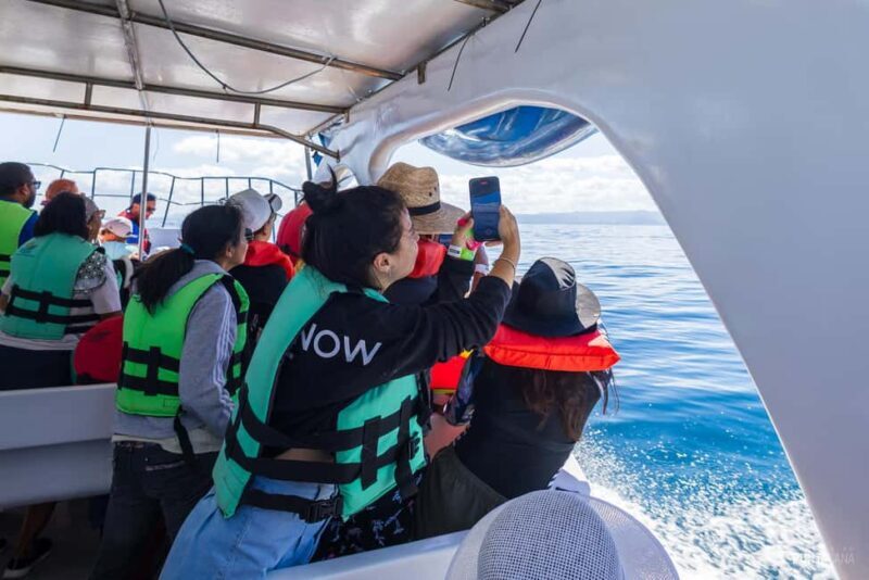 Samaná Bay Eco Whale Watching + Cayo Levantado & El Limón - Final Thoughts