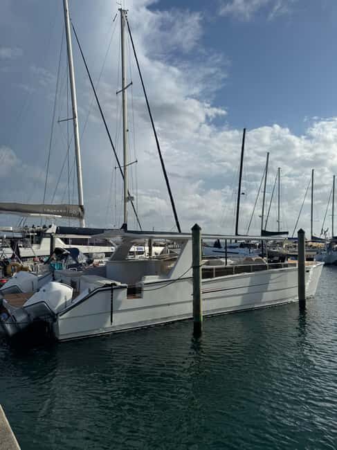 Samaná Bay Private Charter: Aboard Luxurious Power Catamaran - Who Would Love This Experience?