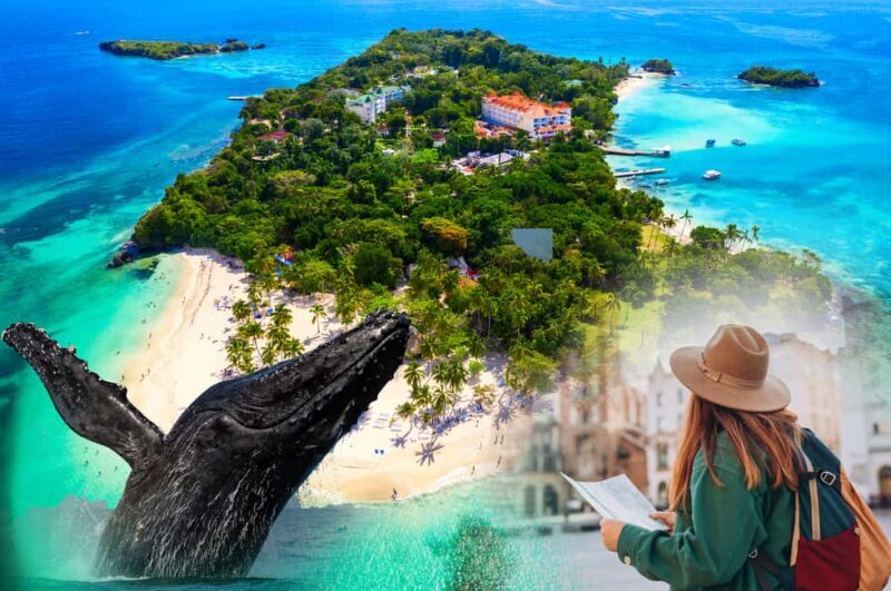 Samana: City Tour with Whale Watching & Cayo Levantado Stop - An In-Depth Look at the Samana Experience