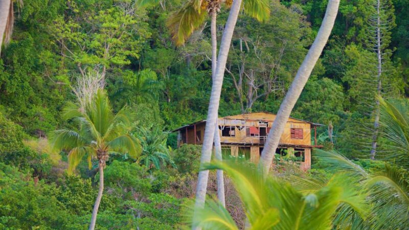 Samana Day Tour: Cayo Levantado & Rincon Bay Paradise - Who Would Love This Experience?