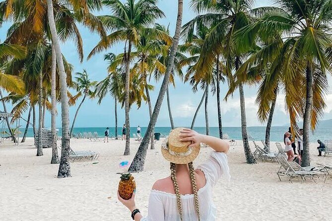 Samana Day Trip from Puntacana and El limon Waterfall - The Journey Begins: From Punta Cana to Samaná  