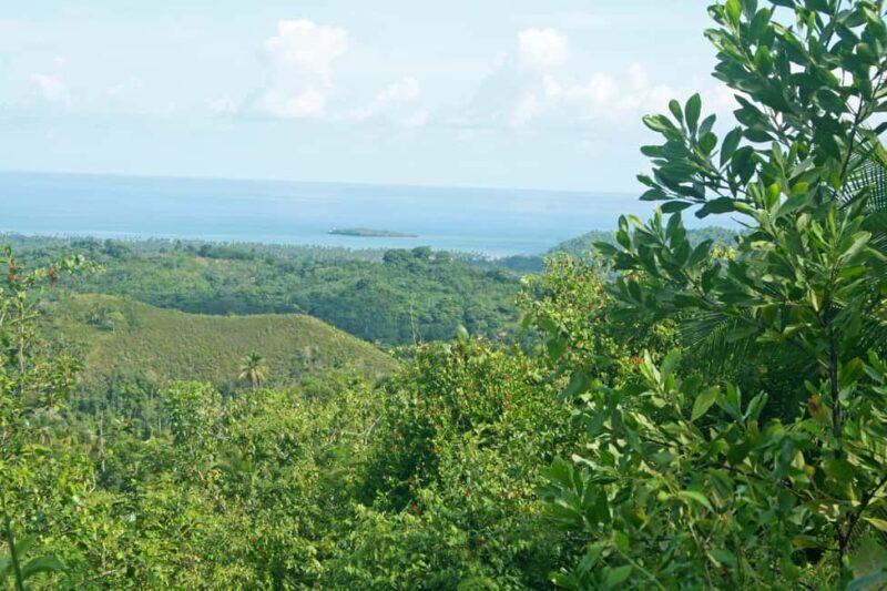 Samaná: El Limón Waterfall Horseback Riding Tour - Practical Tips for a Smooth Experience