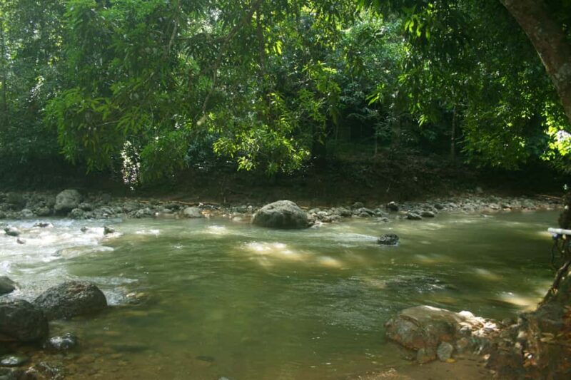 Samaná: El Limón Waterfall Horseback Riding Tour - Authentic Encounters and Hidden Details