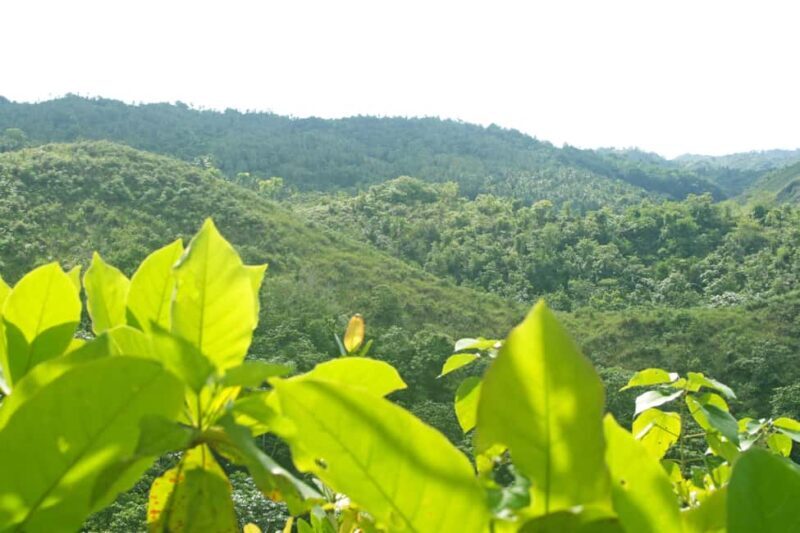 Samaná: El Limón Waterfall Horseback Riding Tour - FAQ