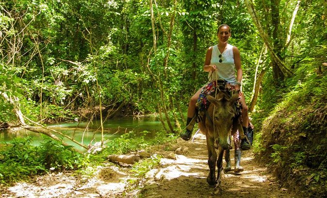 Samana Experience Day Trip - Common Questions