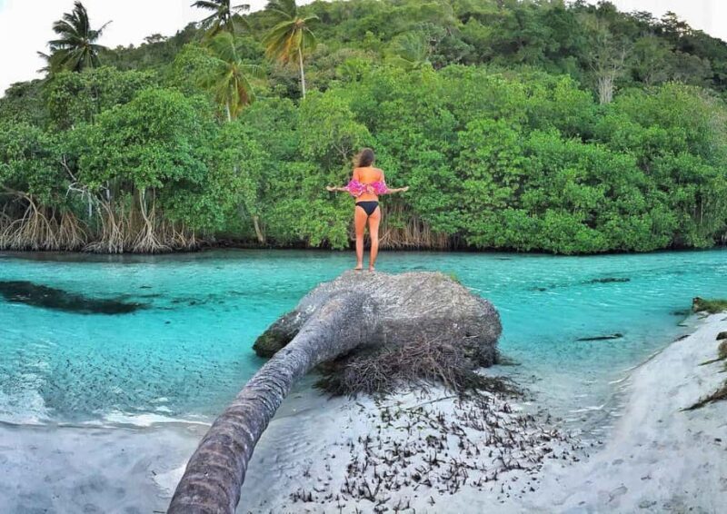 Samana from Punta Cana: Cayo Levantado & El Limon Waterfall - Who Should Consider This Tour?