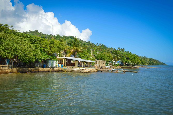 Samana Full-Day Tour With Whale Watching and Horse Riding - The Sum Up