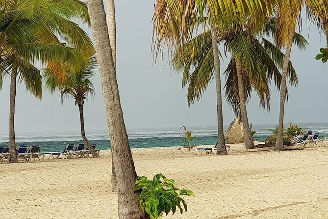 Samana - Key Levantado - Limon Waterfall - Horseback Riding - An In-Depth Look at the Tour Experience