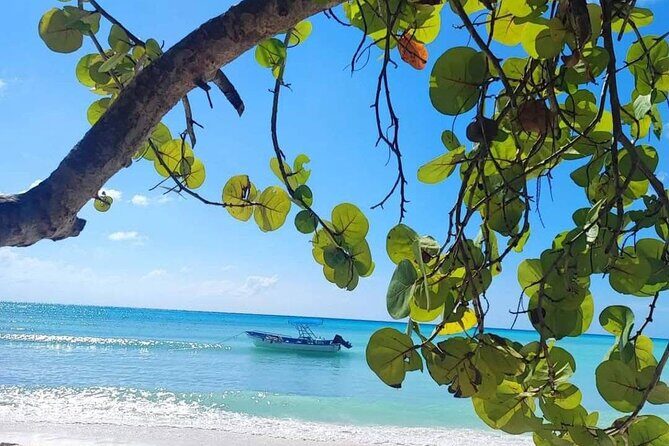 Samana Los Haitises Water fall Cayo Leventado - Cultural and Local Experiences