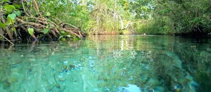 Samaná: Playa Rincón Safari Tour with Lunch & Drinks - What Really Sets This Tour Apart?