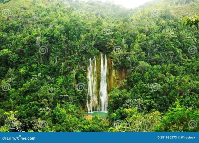 Samaná: Private Early-Morning Trek to El Limón Waterfall - The Itinerary: What to Expect