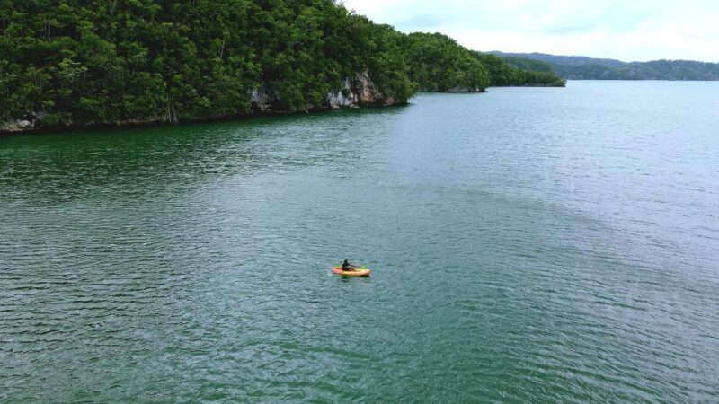Samana: Private Los Haitises Expedition Caves & Mangroves - Why This Tour Is a Must-Do