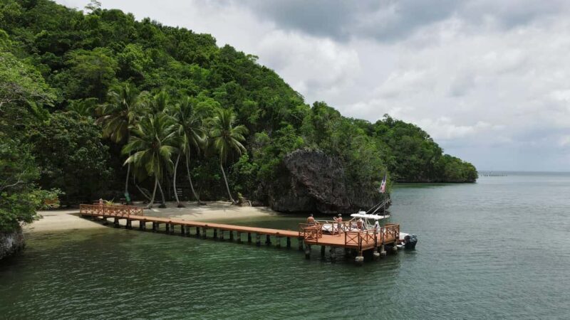 Samana: Private Los Haitises Expedition Caves & Mangroves - Who Will Love This Tour