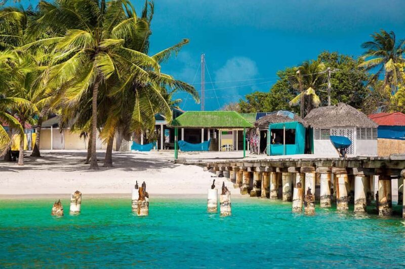 Samana: Saona Island Full-Day Tour with Catamaran Ride - An In-Depth Look at the Tour Experience