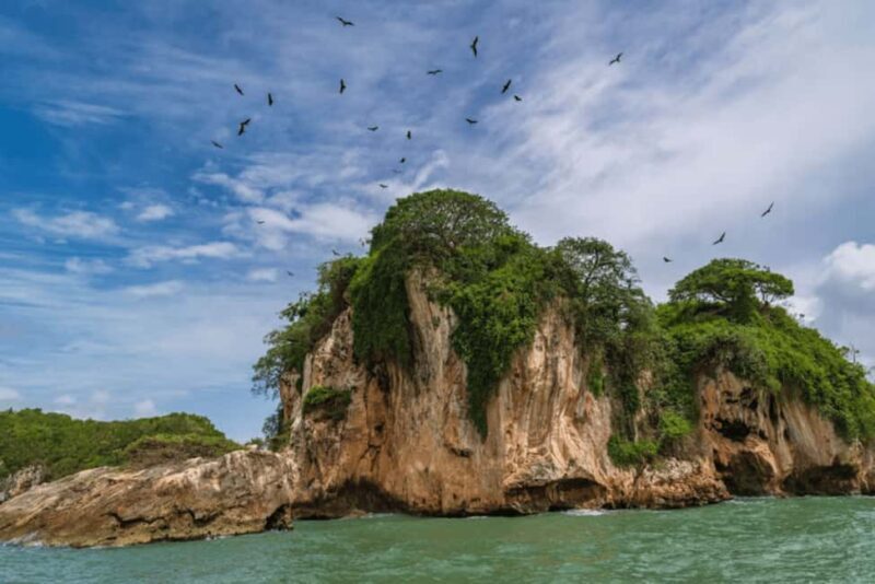 Samana: Visit Samana, Los Haitises Park, and Cayo Levantado Island - Who Should Consider This Tour?