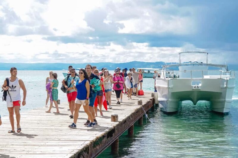 Samanà Whale Watching and Bacardi Island Tour From Bayahibe - Final Thoughts