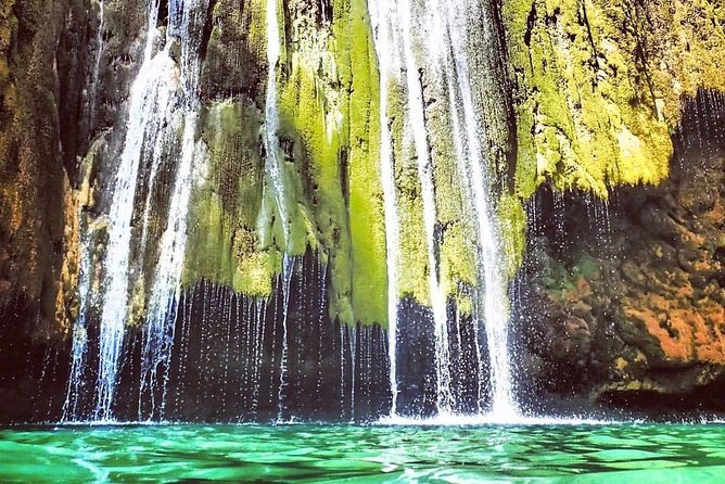 Samana Whale Watching Cayo Levantado Limon Waterfalls From Punta Cana Hotels - Tour Inclusions