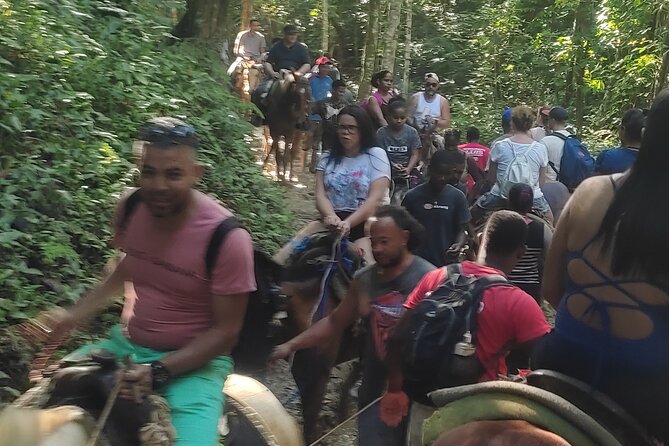 Samana Whales Full Day -Baracardi Island, Horses, Lemon Waterfall - The Sum Up