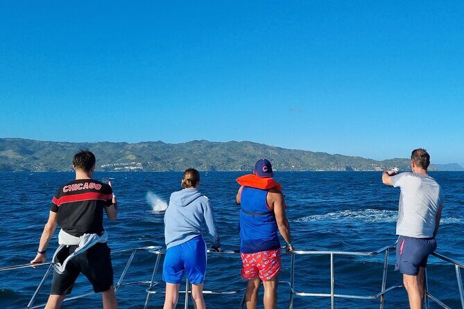 Samana Whales Watching Full Day Tour with Cayo Levantado and more - Authentic Insights from Reviews