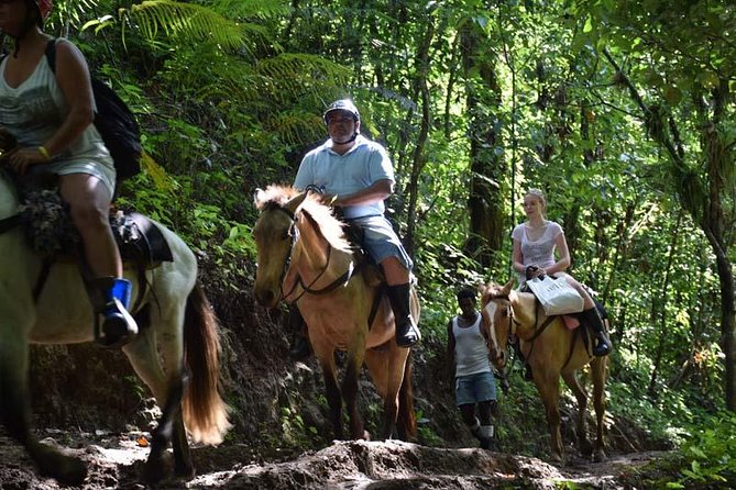 Samana With Cayo Levantado, Full Day Tour! All Inclusive - Reviews