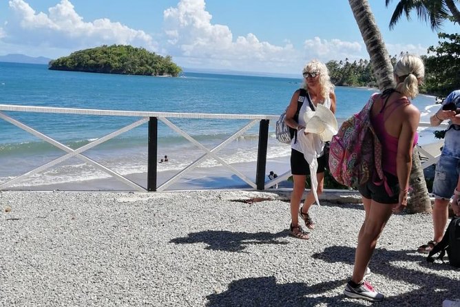 Samaná,Whales, Bacardi Island Horseback Riding, Limon Waterfall - Pricing and Guarantee Details