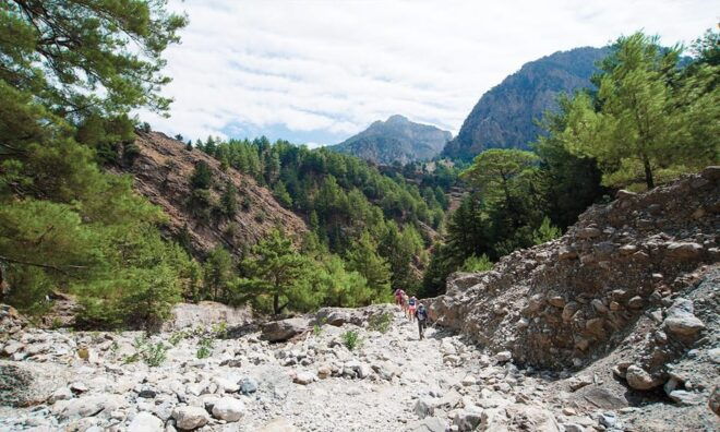 Samaria Gorge Day Trip Hiking Tour - Participant Information